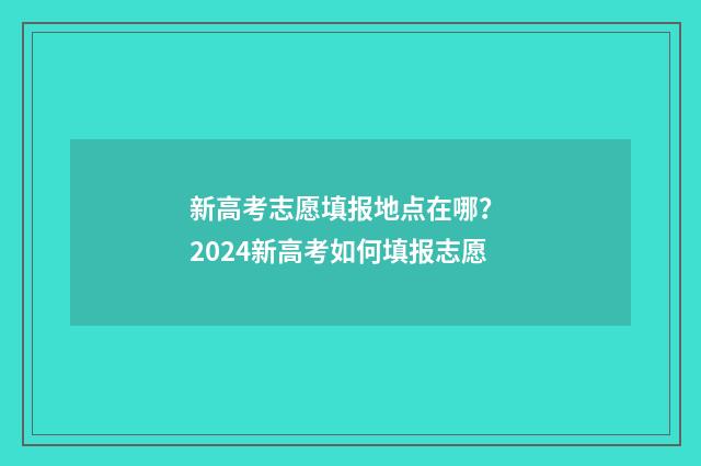 新高考志愿填报地点在哪？ 2024新高考如何填报志愿