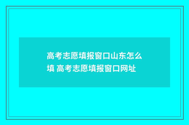 高考志愿填报窗口山东怎么填 高考志愿填报窗口网址