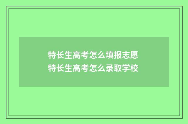 特长生高考怎么填报志愿 特长生高考怎么录取学校