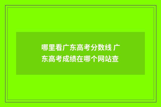 哪里看广东高考分数线 广东高考成绩在哪个网站查