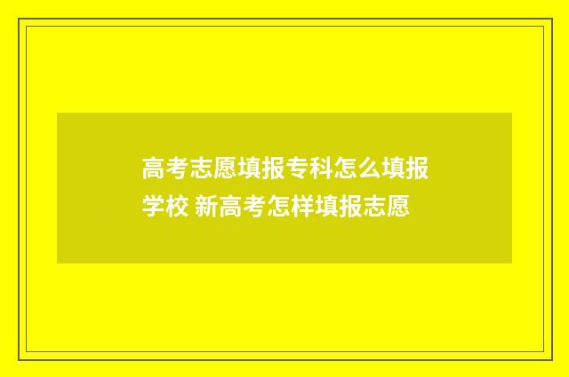 高考志愿填报专科怎么填报学校 新高考怎样填报志愿