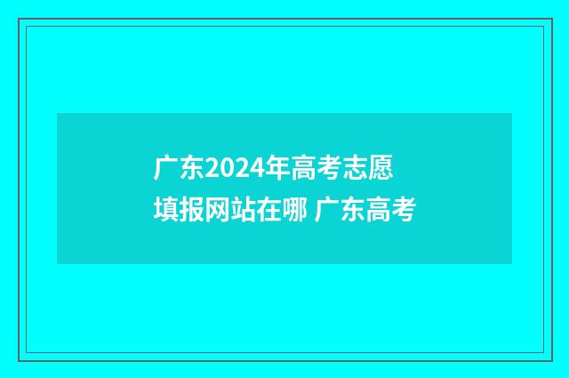 广东2024年高考志愿填报网站在哪 广东高考