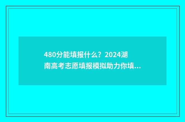 480分能填报什么？2024湖南高考志愿填报模拟助力你填报理想大学 480分选什么专业