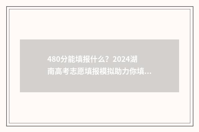 480分能填报什么？2024湖南高考志愿填报模拟助力你填报理想大学 480分选什么专业