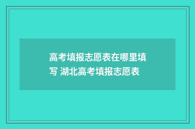高考填报志愿表在哪里填写 湖北高考填报志愿表