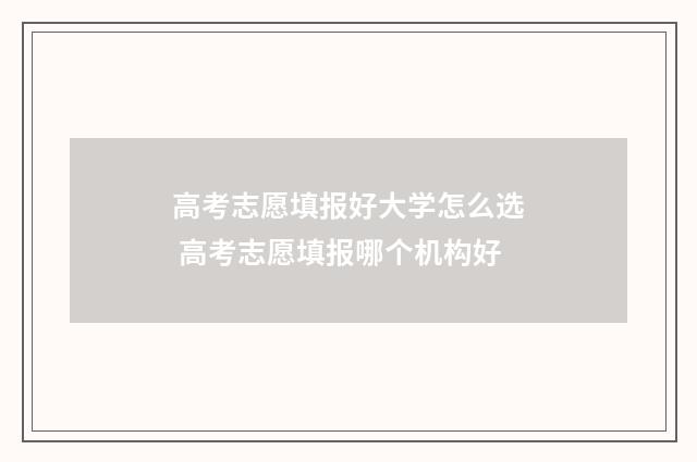 高考志愿填报好大学怎么选 高考志愿填报哪个机构好
