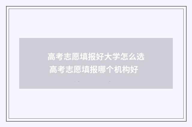 高考志愿填报好大学怎么选 高考志愿填报哪个机构好