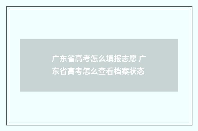 广东省高考怎么填报志愿 广东省高考怎么查看档案状态