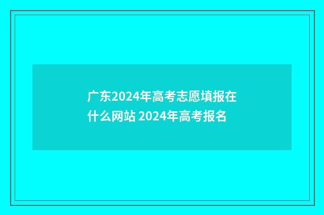 广东2024年高考志愿填报在什么网站 2024年高考报名