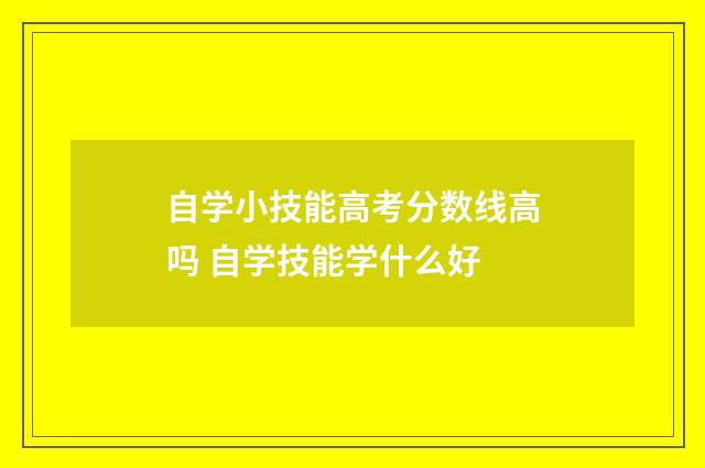 自学小技能高考分数线高吗 自学技能学什么好