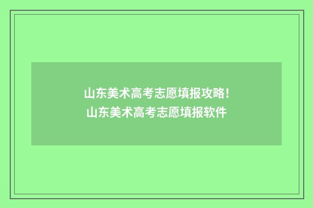 山东美术高考志愿填报攻略！ 山东美术高考志愿填报软件