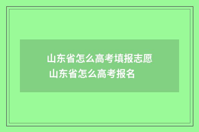山东省怎么高考填报志愿 山东省怎么高考报名
