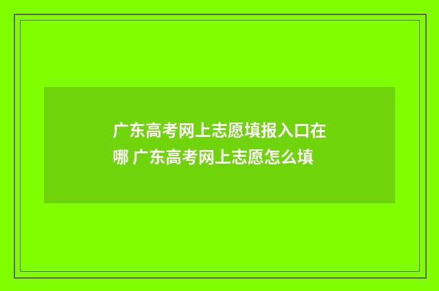 广东高考网上志愿填报入口在哪 广东高考网上志愿怎么填