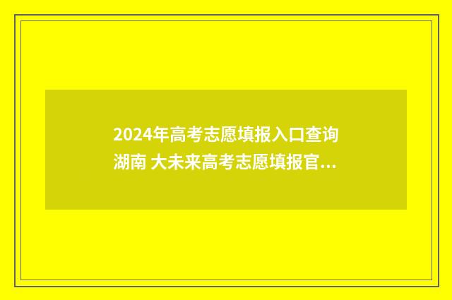 2024年高考志愿填报入口查询湖南 大未来高考志愿填报官网