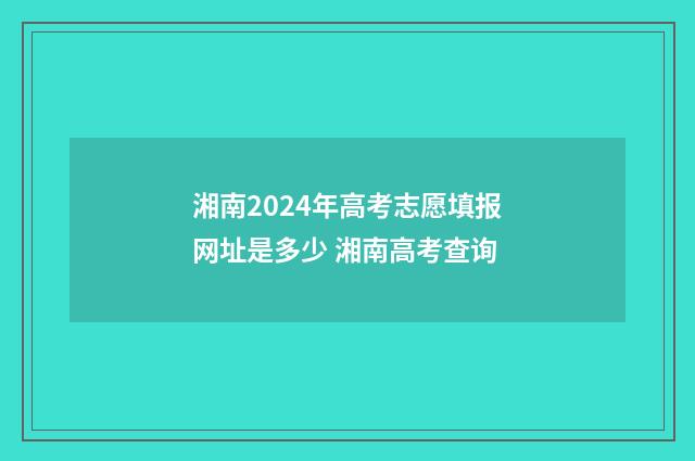 湘南2024年高考志愿填报网址是多少 湘南高考查询