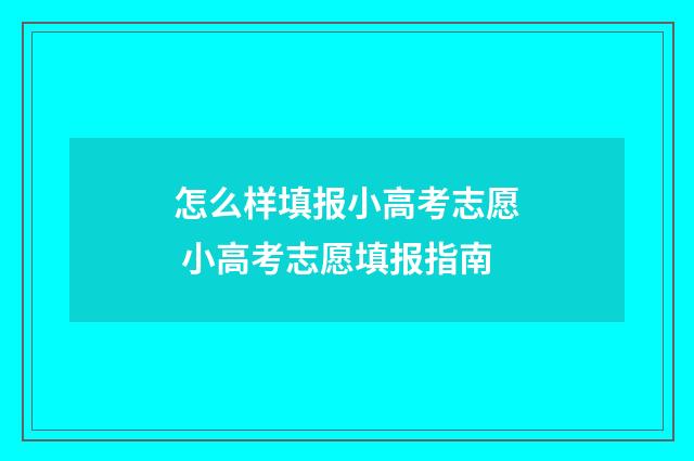 怎么样填报小高考志愿 小高考志愿填报指南