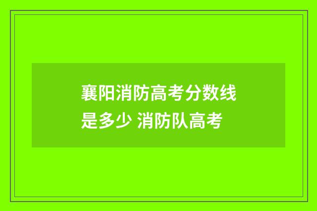 襄阳消防高考分数线是多少 消防队高考
