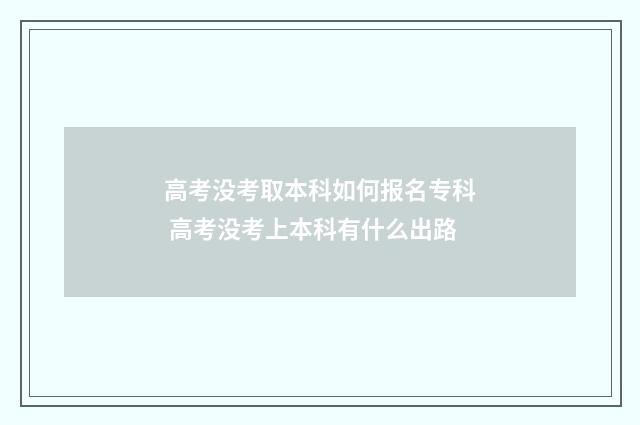 高考没考取本科如何报名专科 高考没考上本科有什么出路