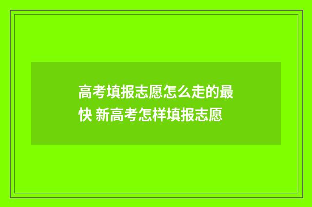 高考填报志愿怎么走的最快 新高考怎样填报志愿
