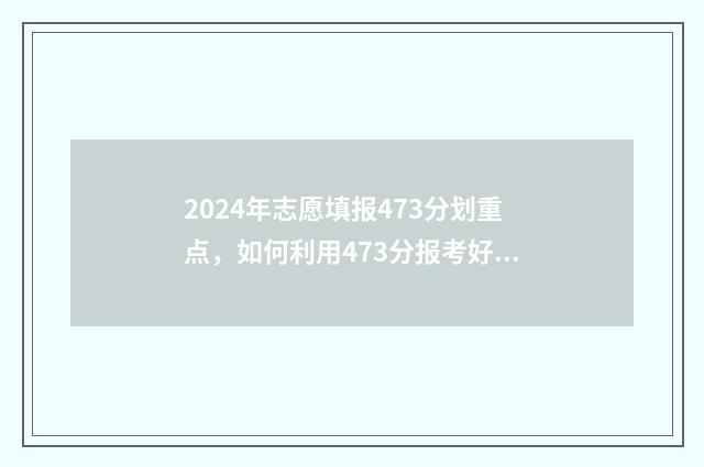 2024年志愿填报473分划重点，如何利用473分报考好大学 2024年志愿填报指南电子版