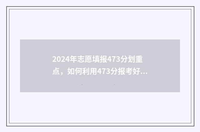 2024年志愿填报473分划重点，如何利用473分报考好大学 2024年志愿填报指南电子版