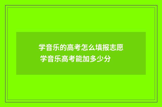 学音乐的高考怎么填报志愿 学音乐高考能加多少分