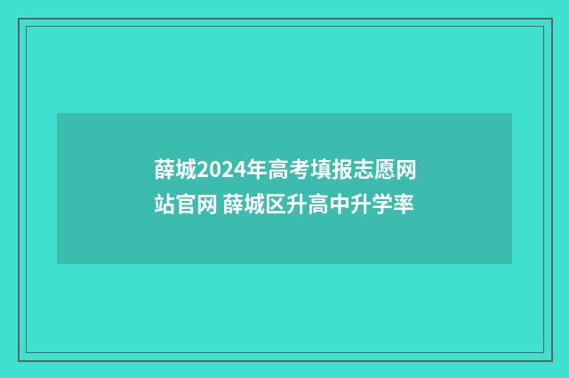 薛城2024年高考填报志愿网站官网 薛城区升高中升学率