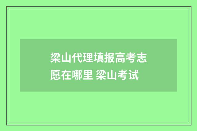 梁山代理填报高考志愿在哪里 梁山考试