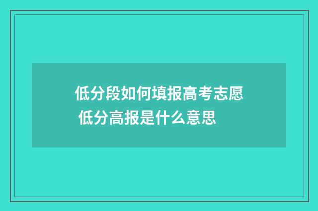 低分段如何填报高考志愿 低分高报是什么意思