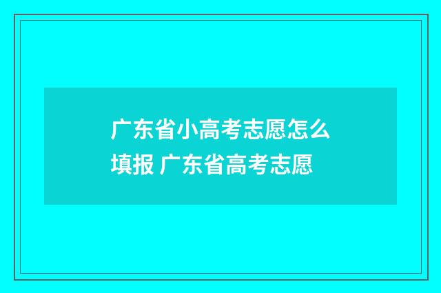 广东省小高考志愿怎么填报 广东省高考志愿