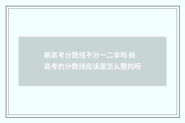 新高考分数线不分一二本吗 新高考的分数线应该是怎么整的呀