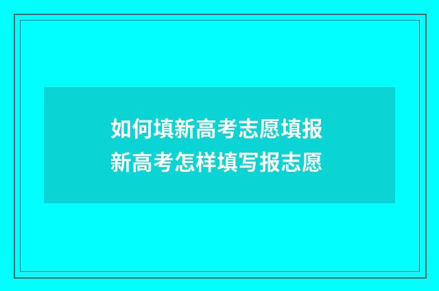 如何填新高考志愿填报 新高考怎样填写报志愿
