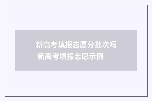 新高考填报志愿分批次吗 新高考填报志愿示例