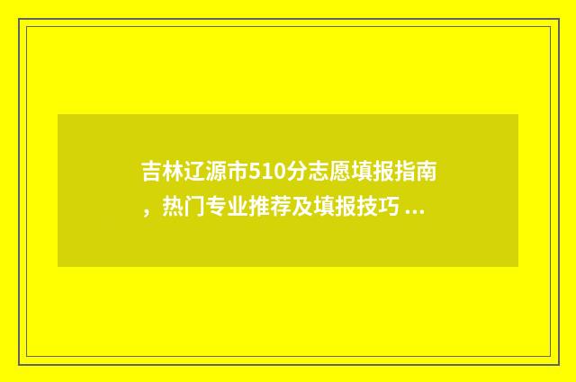 吉林辽源市510分志愿填报指南，热门专业推荐及填报技巧 吉林省辽源市五高中分数线