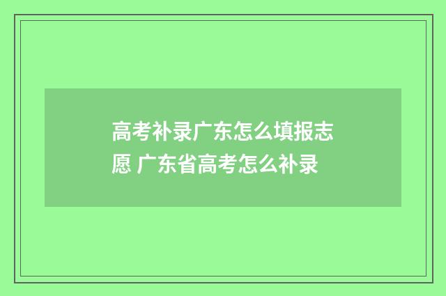 高考补录广东怎么填报志愿 广东省高考怎么补录