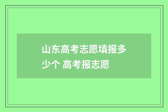 山东高考志愿填报多少个 高考报志愿