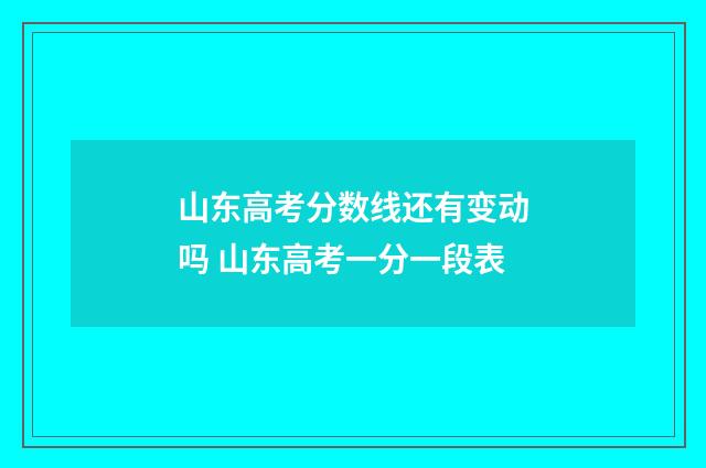 山东高考分数线还有变动吗 山东高考一分一段表