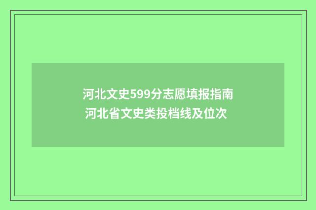 河北文史599分志愿填报指南 河北省文史类投档线及位次