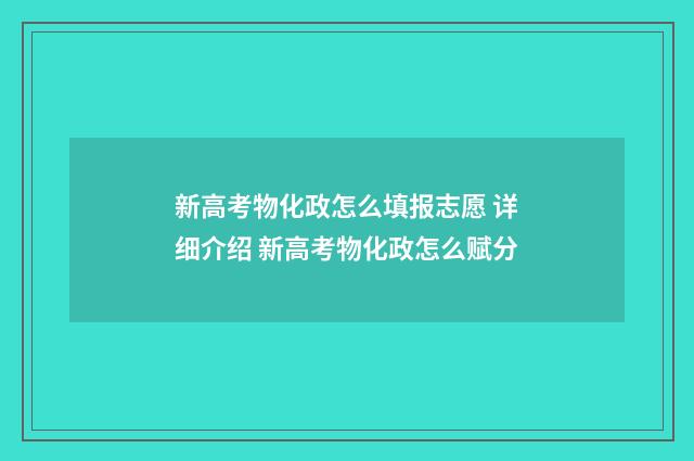 新高考物化政怎么填报志愿 详细介绍 新高考物化政怎么赋分