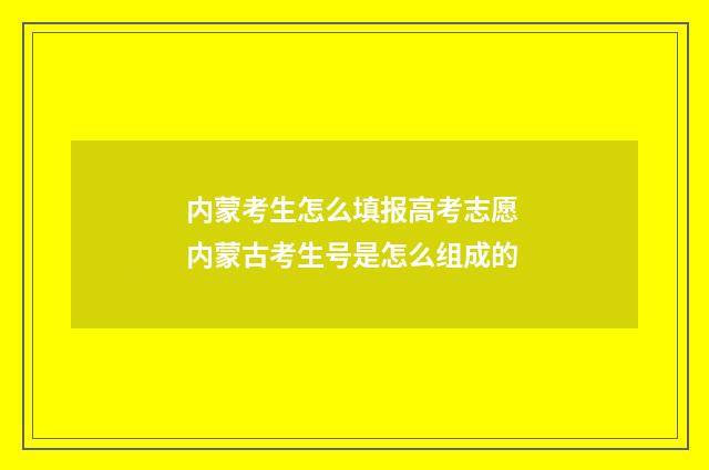内蒙考生怎么填报高考志愿 内蒙古考生号是怎么组成的