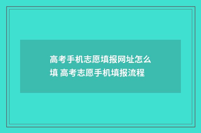 高考手机志愿填报网址怎么填 高考志愿手机填报流程