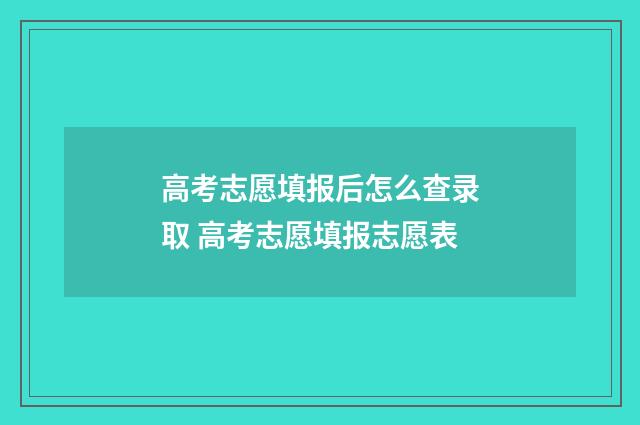 高考志愿填报后怎么查录取 高考志愿填报志愿表