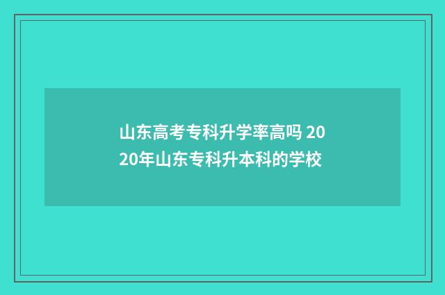 山东高考专科升学率高吗 2020年山东专科升本科的学校
