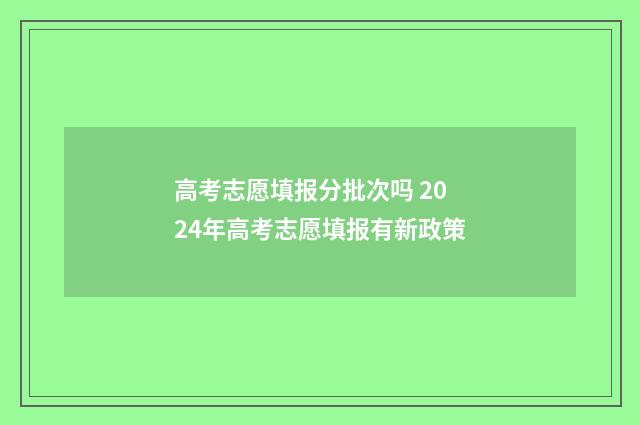 高考志愿填报分批次吗 2024年高考志愿填报有新政策
