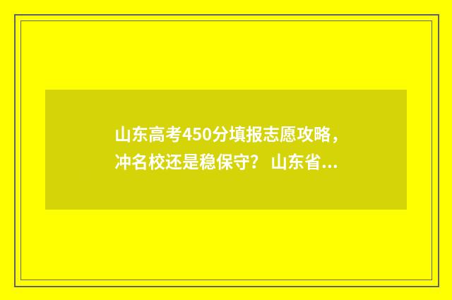 山东高考450分填报志愿攻略，冲名校还是稳保守？ 山东省高考450分能上本科吗