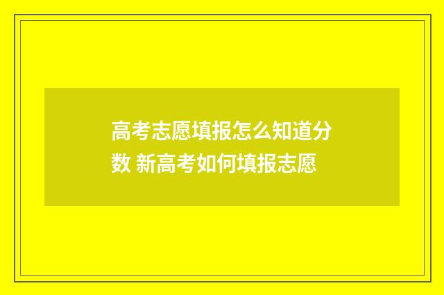 高考志愿填报怎么知道分数 新高考如何填报志愿
