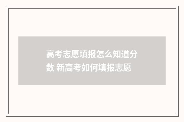 高考志愿填报怎么知道分数 新高考如何填报志愿