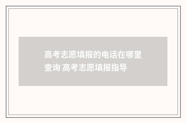 高考志愿填报的电话在哪里查询 高考志愿填报指导