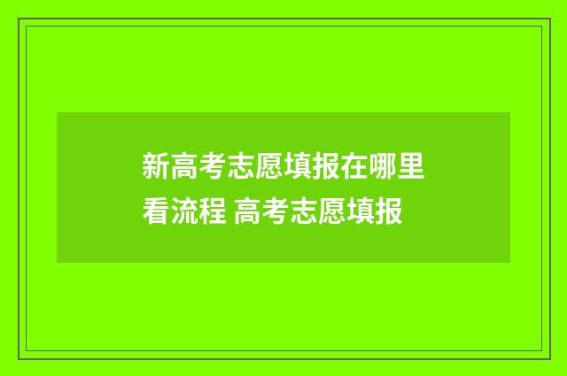 新高考志愿填报在哪里看流程 高考志愿填报
