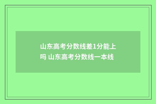 山东高考分数线差1分能上吗 山东高考分数线一本线